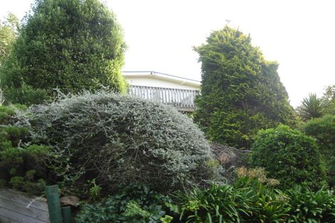 Photo of property in 6 Solar Terrace, Broad Bay, Dunedin, 9014