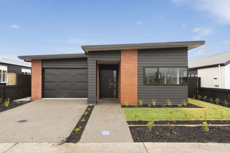 Photo of property in 25 Probert Crescent, Chartwell, Hamilton, 3210