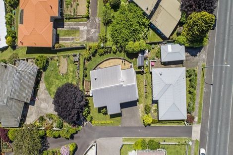 Photo of property in 334b Maungatapu Road, Maungatapu, Tauranga, 3112