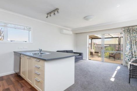 Photo of property in 19 Elizabeth Street, Richmond, 7020