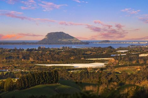 Photo of property in 252 Whakamarama Road, Whakamarama, Tauranga, 3179
