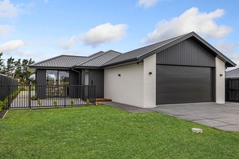 Photo of property in 45 Greig Crescent, Amberley, 7481