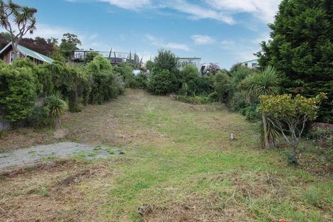 Photo of property in 32 Bellevue Place, Port Chalmers, 9023