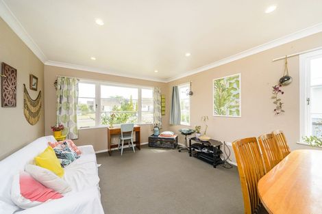 Photo of property in 29 Monmouth Street, Feilding, 4702