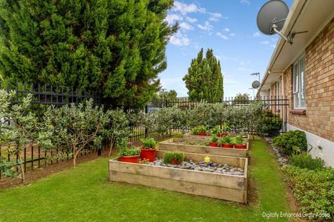 Photo of property in 14d Graham Street, Pukekohe, 2120