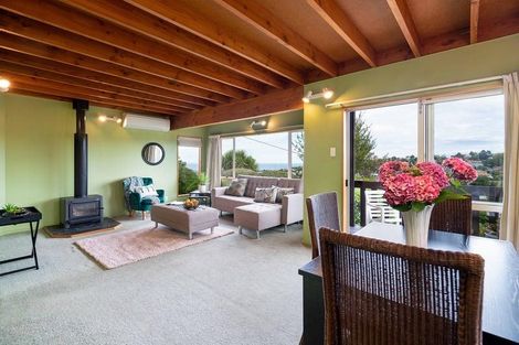 Photo of property in 1 Iona Street, Mornington, Dunedin, 9011