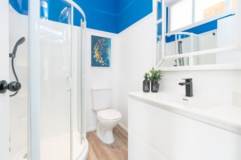 Photo of property in 17 Hornsey Road, Melrose, Wellington, 6023