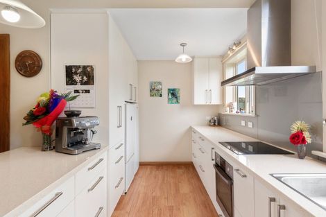 Photo of property in 6 Grandview Crescent, Opoho, Dunedin, 9010