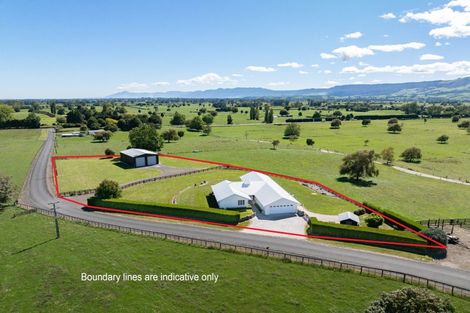 Photo of property in 43 Kerr Road, Te Poi, Matamata, 3473