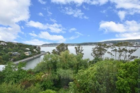 Photo of property in 1a Glengyle Street, Vauxhall, Dunedin, 9013