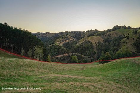 Photo of property in 169 Torehape Road, Kaihere, Ngatea, 3597