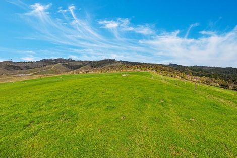 Photo of property in 5 William James Lane, Makarau, Warkworth, 0984