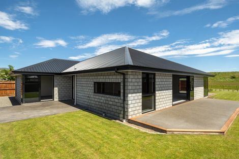 Photo of property in 31 Turnbull Drive, Witherlea, Blenheim, 7201