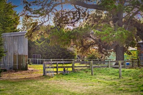 Photo of property in 321 Southbridge Leeston Road, Leeston, 7683