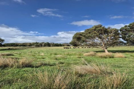 Photo of property in 50b Painua Road, Hokio Beach, Levin, 5571