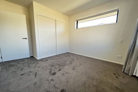 Photo of property in 43 Waikirikiri Avenue, Lincoln, 7608