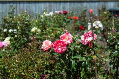 Photo of property in 303 Glover Road, Hawera, 4675