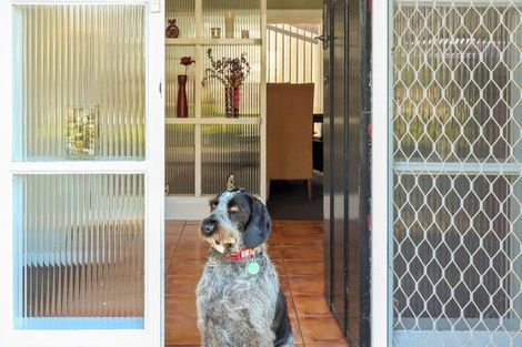 Photo of property in 2 Russell Avenue, Te Aroha, 3320