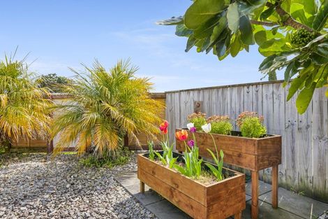 Photo of property in 43 Quadrant Heights, Paraparaumu, 5032