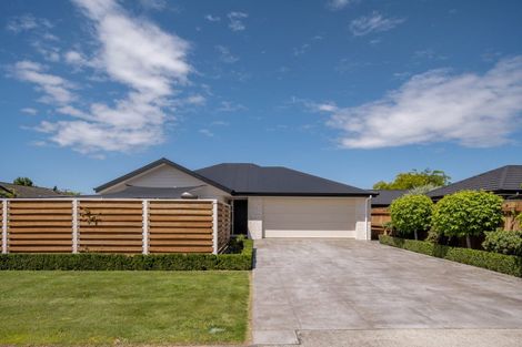 Photo of property in 3 Kilworth Place, Witherlea, Blenheim, 7201