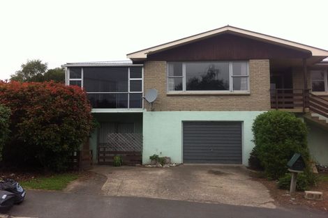 Photo of property in 10 Signal Hill Road, Opoho, Dunedin, 9010