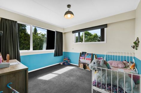 Photo of property in 3 Ulysses Street, Stratford, 4332