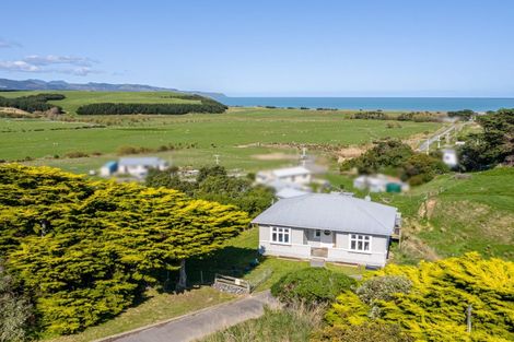 Photo of property in 346 Cape Palliser Road, Whangaimoana, Pirinoa, 5772