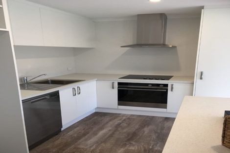 Photo of property in 25 Ascot Street, Richmond, 7020