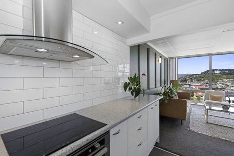 Photo of property in Mccallister Heights, 15/381 Adelaide Road, Newtown, Wellington, 6021