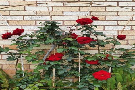 Photo of property in 39 Taylor Avenue, Paeroa, 3600