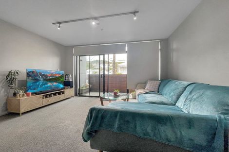 Photo of property in Detroit Apartments, 209/181 Tasman Street, Mount Cook, Wellington, 6021
