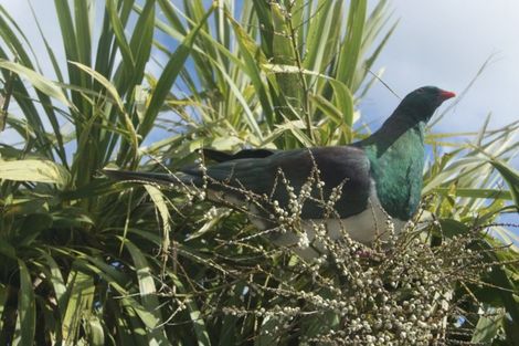 Photo of property in 501 Marine Drive, Sunshine Bay, Lower Hutt, 5013