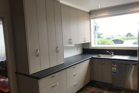 Photo of property in 40 Falcon Street, Kaikorai, Dunedin, 9010