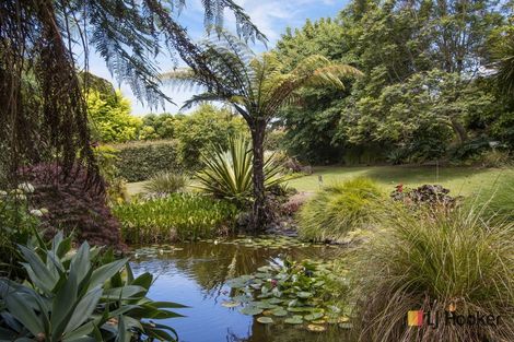 Photo of property in 72 Koutunui Road, Athenree, Katikati, 3177