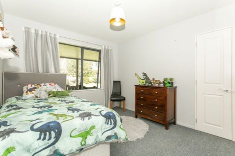 Photo of property in 87 David Street, Hinds, Ashburton, 7773