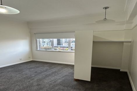 Photo of property in 22 Buller Street, Te Aro, Wellington, 6011