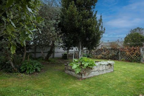 Photo of property in 122 Scott Street, Redwoodtown, Blenheim, 7201