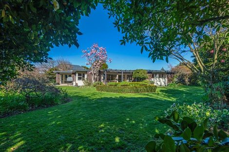 Photo of property in 10a Kimbolton Road, Feilding, 4702