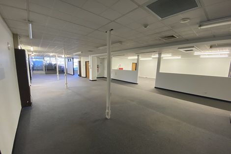 Photo of property in 22 Raroa Road, Kelburn, Wellington, 6012