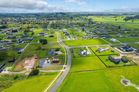 Photo of property in 895 Collinson Street, Pirongia, 3802