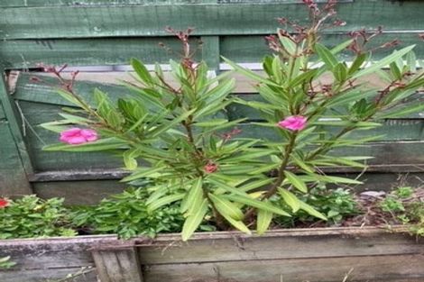 Photo of property in 3/46 Ngatoto Street, Ngaio, Wellington, 6035