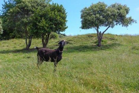 Photo of property in 97 Seafield Road, Westmere, Whanganui, 4574