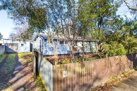 Photo of property in 29 Puataata Road, Turangi, 3334