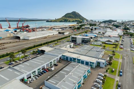 Photo of property in 39b Totara Street, Eastbourne, Lower Hutt, 5013