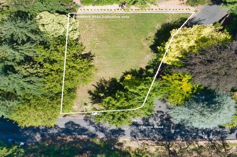 Photo of property in 84 Tauroa Road, Havelock North, 4130