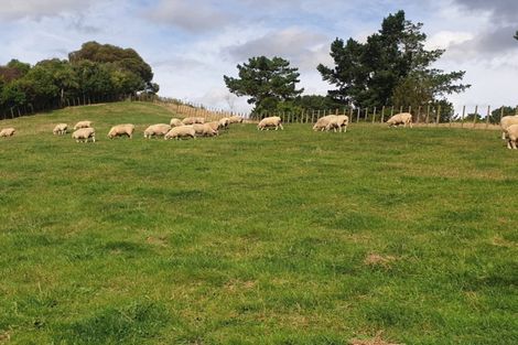 Photo of property in 42a Forest Hill Road, Aokautere, Palmerston North, 4471