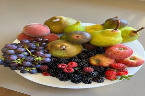 Photo of property in 14 Tavera Street, Blenheim, 7201