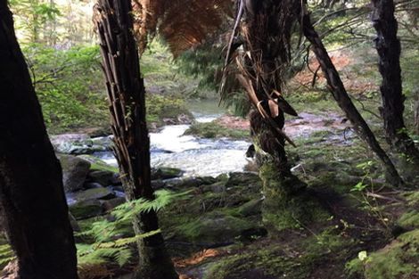 Photo of property in 450 Puketotara Road, Waipapa, 0295