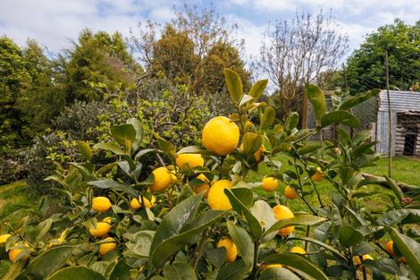 Photo of property in 484 Finnis Road, Pohangina, Feilding, 4775