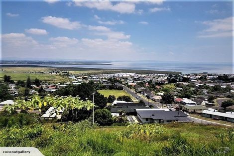 Photo of property in 210 Hauraki Terrace, Thames, 3500